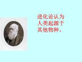 苏科版八年级下册生物 23.4人类的起源和进化 课件