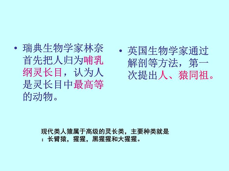 苏科版八年级下册生物 23.4人类的起源和进化 课件第3页