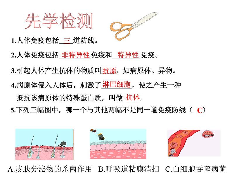 苏科版八年级下册生物 24.1人体的免疫防线 课件第2页