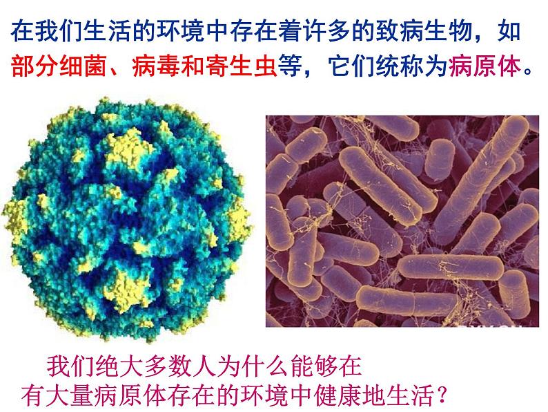 苏科版八年级下册生物 24.1人体的免疫防线 课件第4页