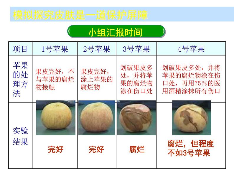 苏科版八年级下册生物 24.1人体的免疫防线 课件第8页