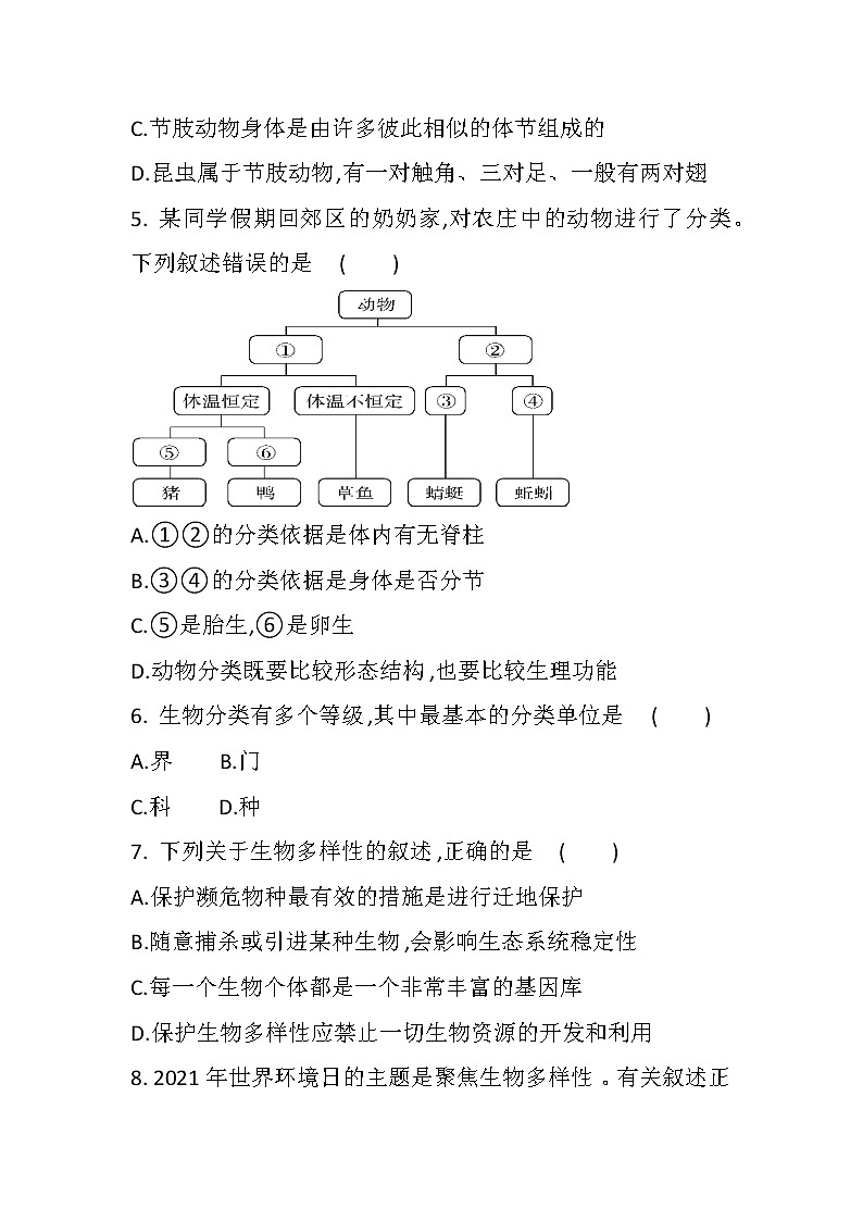 中考总复习专题十 生物进化与生物多样性的保护（初中生物专题复习提高训练）第2页