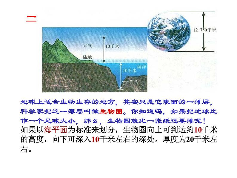 生物圈是最大的生态系统课件PPT第3页