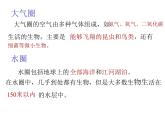 生物圈是最大的生态系统课件PPT