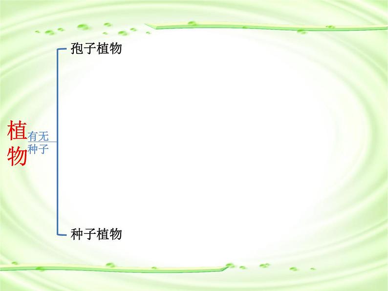 《尝试对生物进行分类》课件.ppt03