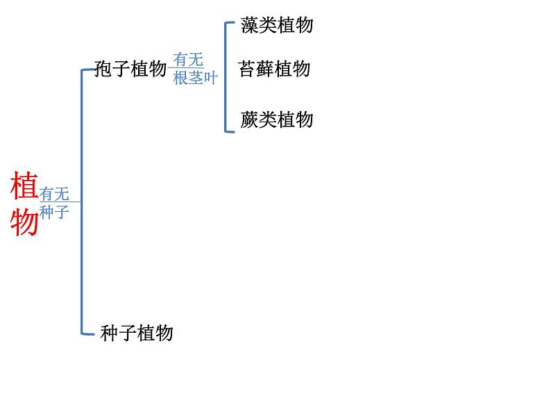 《尝试对生物进行分类》课件.ppt07