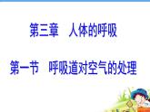 第三章  第一节 呼吸道对空气的处理课件PPT