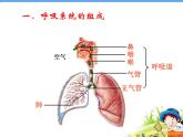 第三章  第一节 呼吸道对空气的处理课件PPT