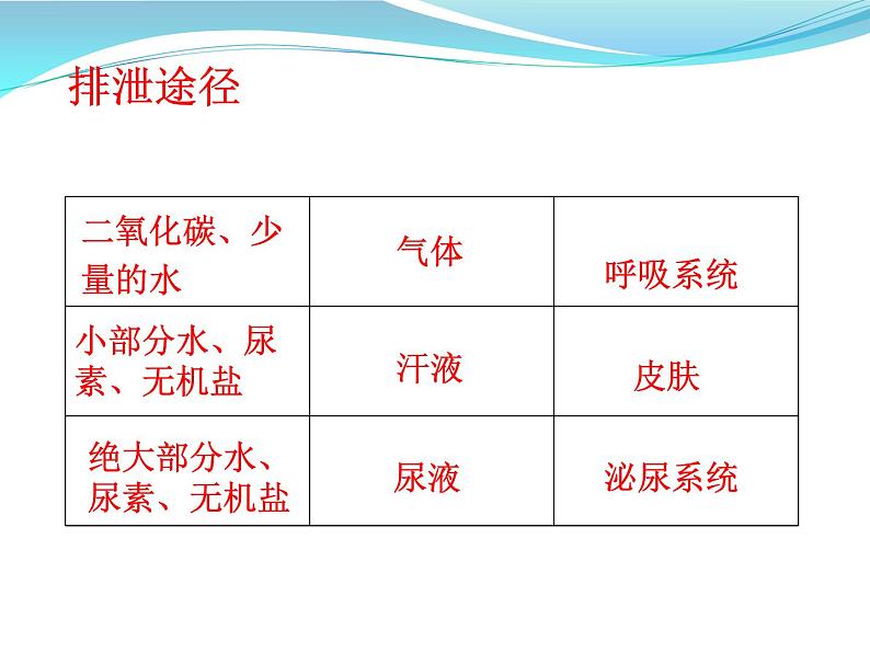 人体内废物的排出课件PPT第4页