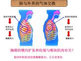 第二节_发生在肺内的气体交换课件PPT