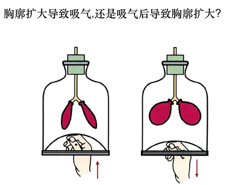 第二节_发生在肺内的气体交换课件PPT第8页