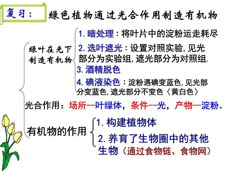 光合作用吸收二氧化碳释放氧气课件PPT第1页