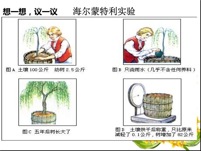 光合作用吸收二氧化碳释放氧气课件PPT第3页