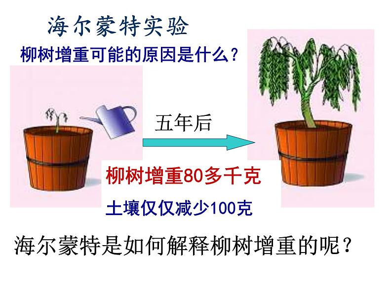 光合作用吸收二氧化碳释放氧气课件PPT第4页