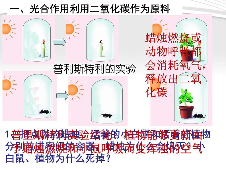 光合作用吸收二氧化碳释放氧气课件PPT第6页