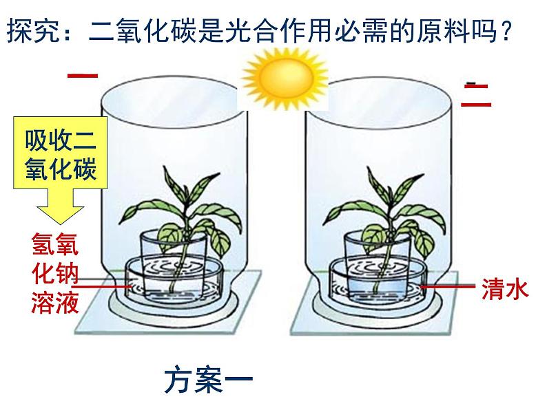 光合作用吸收二氧化碳释放氧气课件PPT第8页