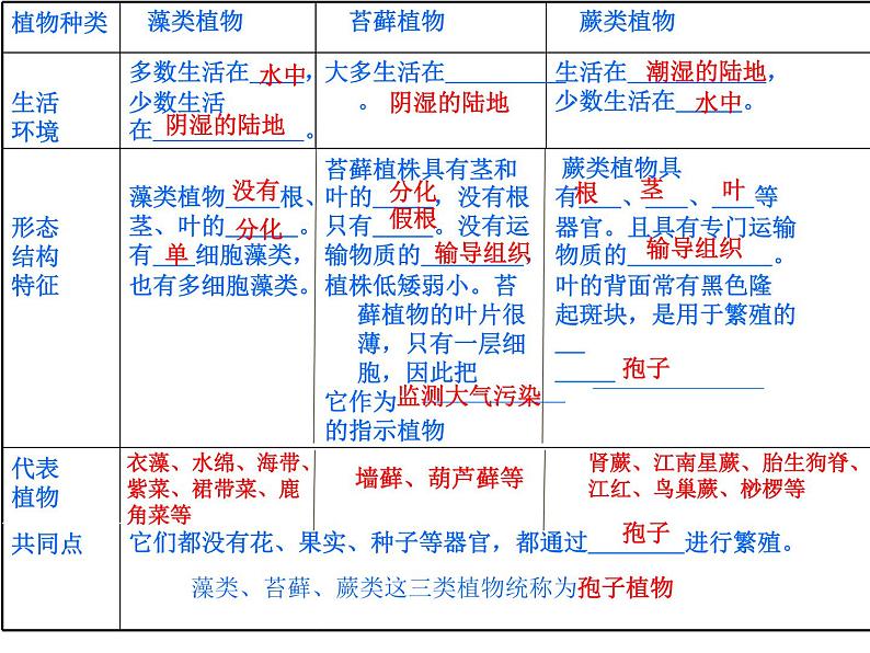 第三节种子植物课件PPT第1页