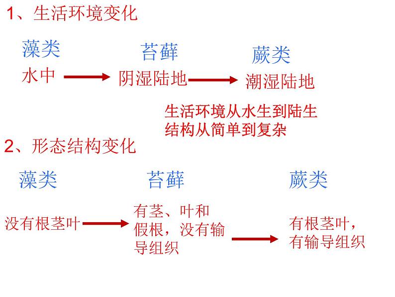 第三节种子植物课件PPT第2页