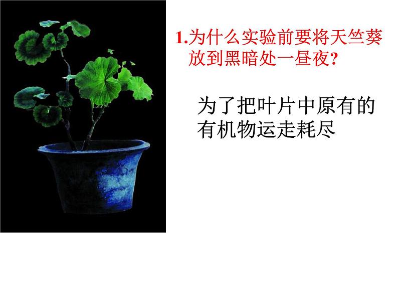 绿色植物是生物圈中有机物的制造者课件PPT第8页