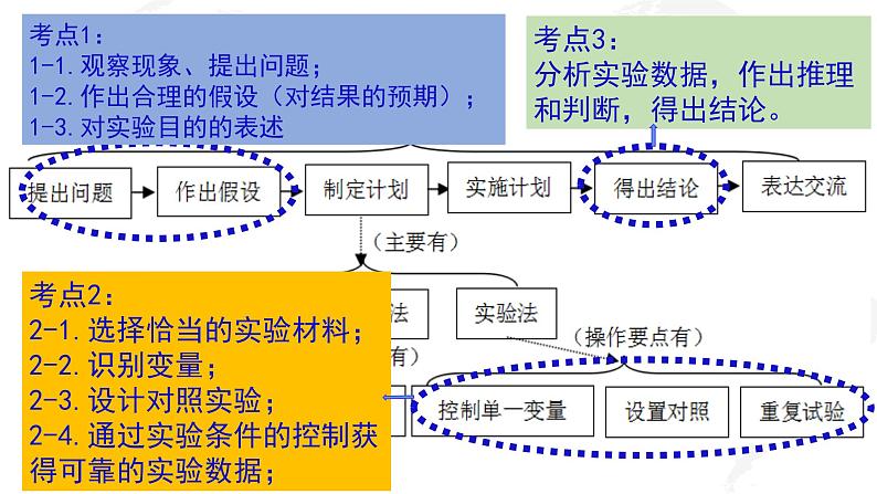 2022年中考生物复习科学探究（二轮复习）教法分析课件第4页