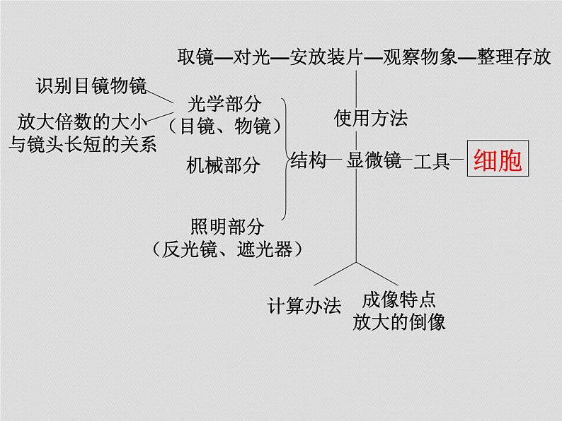 2022年八年级生物中考复习：各部分《知识建构》课件PPT第2页