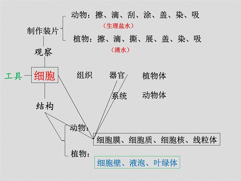 2022年八年级生物中考复习：各部分《知识建构》课件PPT第3页