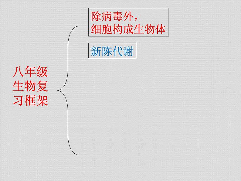 2022年八年级生物中考复习：各部分《知识建构》课件PPT第4页