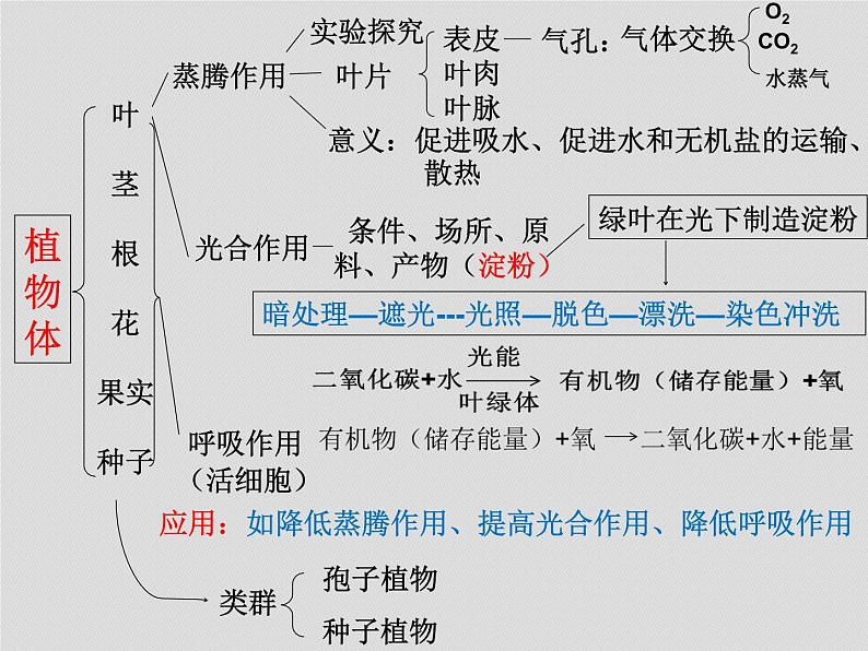 2022年八年级生物中考复习：各部分《知识建构》课件PPT第5页