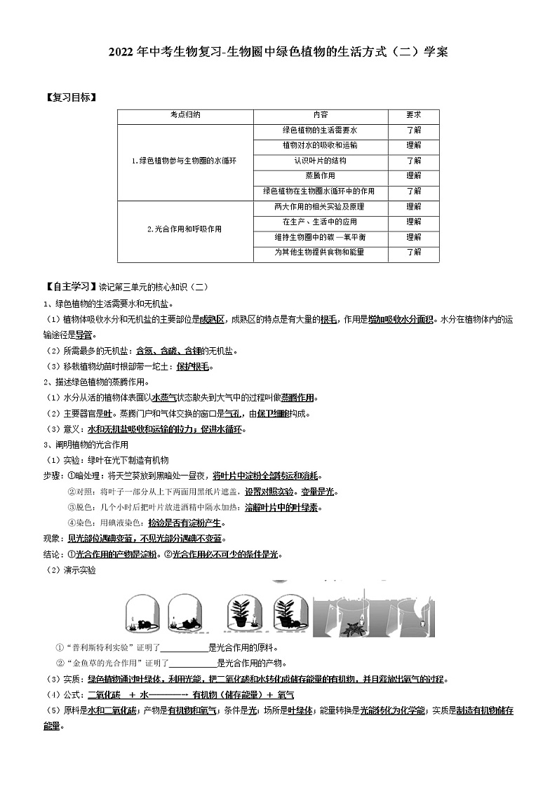 2022年中考生物复习-生物圈中绿色植物的生活方式（二）学案（无答案）01