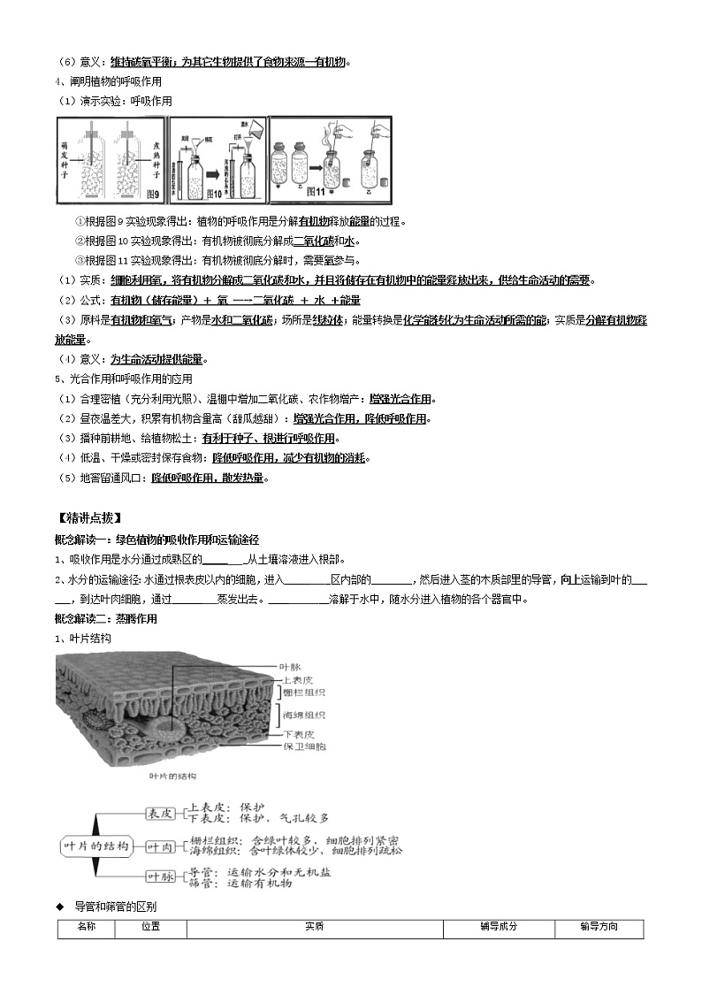 2022年中考生物复习-生物圈中绿色植物的生活方式（二）学案（无答案）02