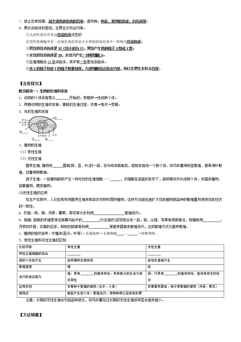 2022年中考生物复习-生物圈中生命的延续和发展学案（无答案）02