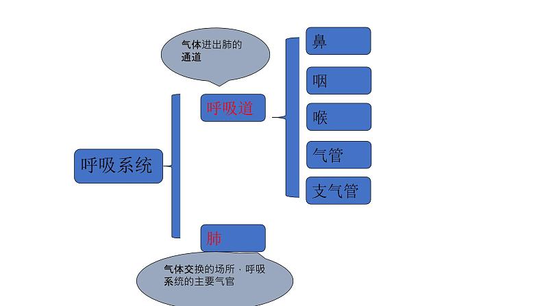 呼吸道对空气的处理课件PPT06