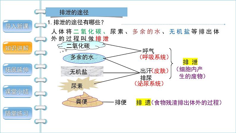 5.1人体内废物的排出第1课时课件PPT第4页