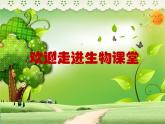 苏科版八下生物 26.2 保护生物多样性 课件