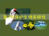 苏科版八下生物 26.2 保护生物多样性 课件