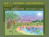 苏科版八下生物 26.2 保护生物多样性 课件