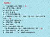 蘇教版八下生物 21.2植物的有性生殖 課件