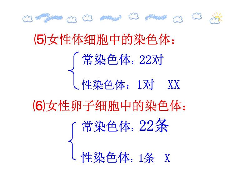 苏教版八下生物 22.3人的性别决定 课件06