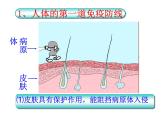 苏教版八下生物 25.3免疫 课件