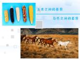苏教版八下生物 22.5生物的变异 课件