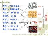 苏教版八下生物 25.1传染病 课件