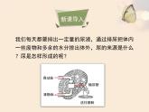 苏教版七下生物 11.2人体废物的排出 课件