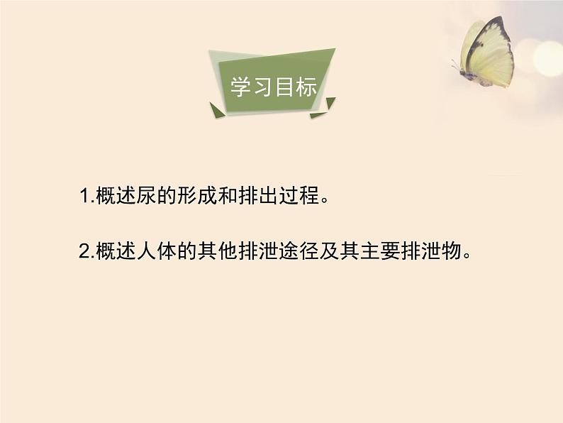 苏教版七下生物 11.2人体废物的排出 课件第3页