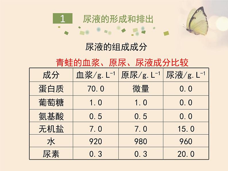 苏教版七下生物 11.2人体废物的排出 课件第4页