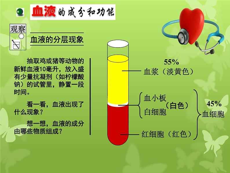 苏教版七下生物 10.1血液和血型 课件第5页