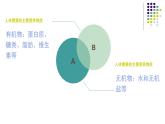 苏教版七下生物 9.1人体需要的主要营养物质 课件