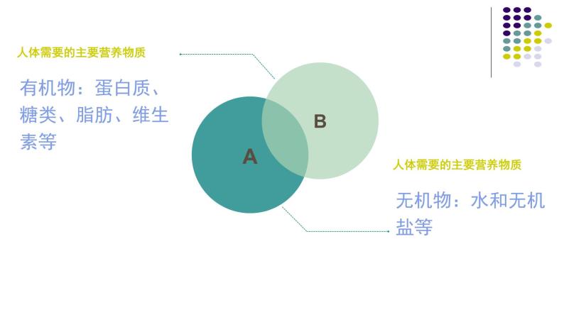 苏教版七下生物 9.1人体需要的主要营养物质 课件03