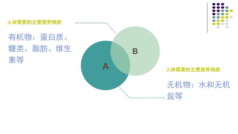 苏教版七下生物 9.1人体需要的主要营养物质 课件03