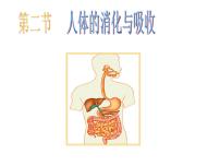 初中生物苏教版七年级下册第二节 人体的消化与吸收教案配套课件ppt