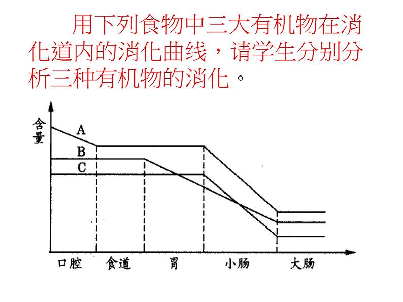 苏教版七下生物 9.2人体的消化与吸收 课件第6页